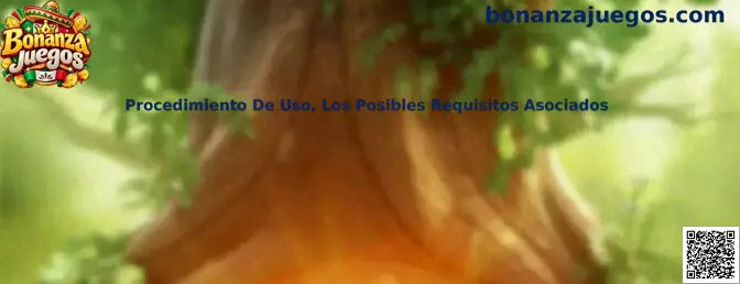 Guía de Bonanza Juegos sobre procedimiento de uso y requisitos asociados al canje de códigos