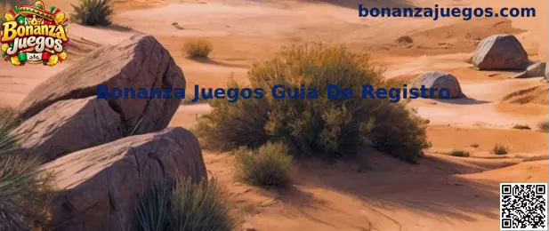 Guía visual de registro de Bonanza Juegos