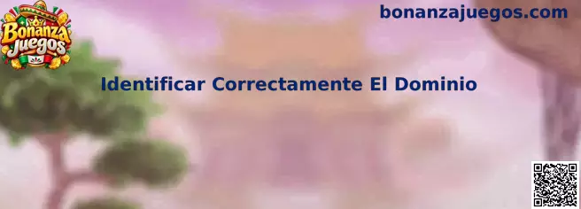 Guía visual para identificar correctamente el dominio antes de iniciar sesión en Bonanza Juegos