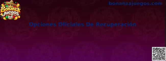 Opciones oficiales de recuperación de cuenta en Bonanza Juegos