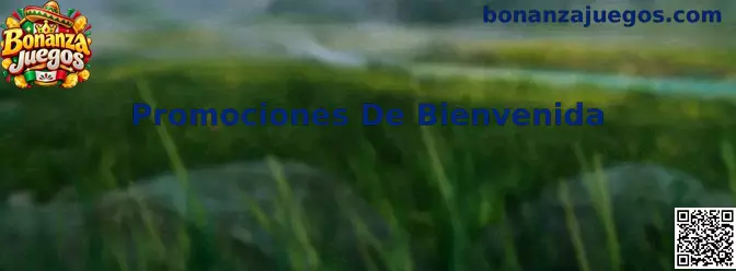 Promociones De Bienvenida en Bonanza Juegos México